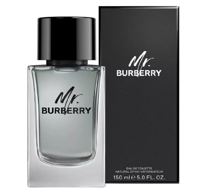 BURBERRY Mr. BURBERRY 100 ML