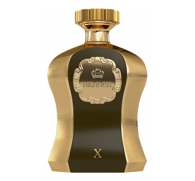 AFNAN HIGHNESS X (BROWN) 100ML 